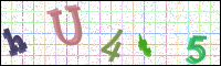 Image Verification