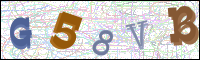 Image Verification